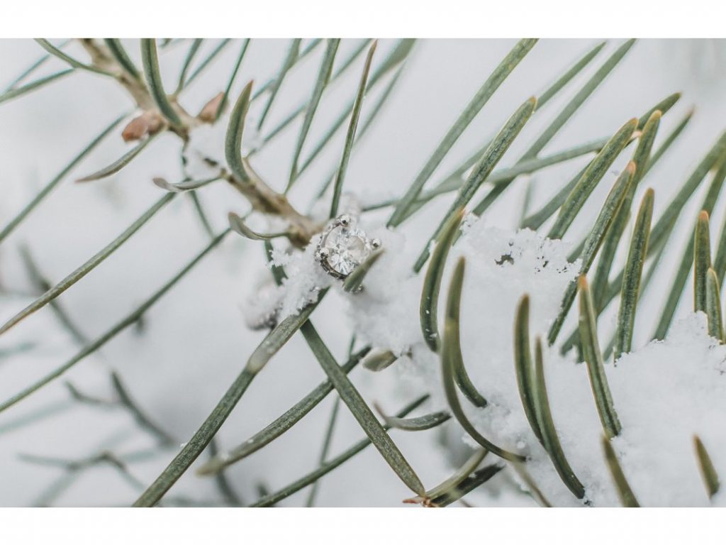 A Snowy Christmas Tree Farm Engagement Session Edinboro Pa | Samantha Zenewicz Photography