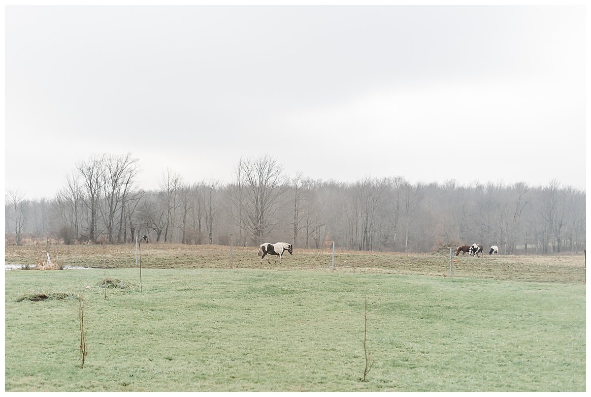 Purple Hues | Winter Wedding | Pennsylvania Wedding Photographer | Samantha Zenewicz Photography