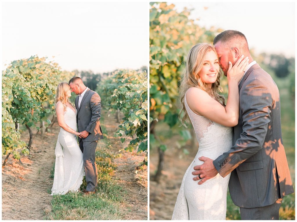 bride and groom at sunset in a vineyard
